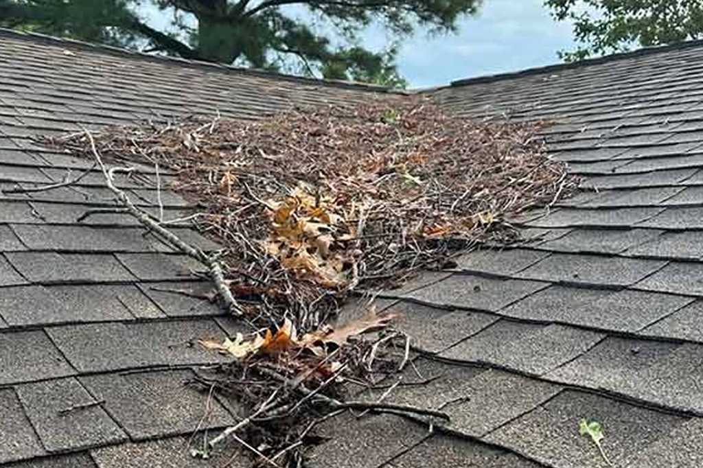 Debris Removal